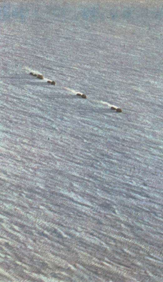 fuchs karavan av snovesslor startar mot sydpolen fran shackletonlagret vid weddellhavet
